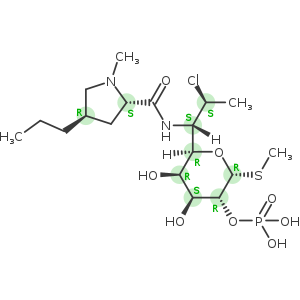 Clindamycin Phosphate
