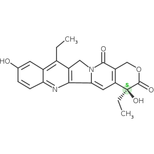 Irinotecan Related Compound B