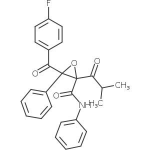 Atorvastatin Related Compound D