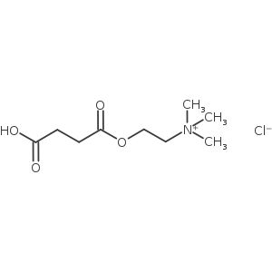 Succinylmonocholine Chloride