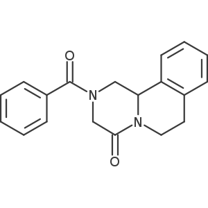 Praziquantel Related Compound A