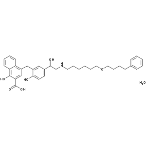 Salmeterol Related Compound H