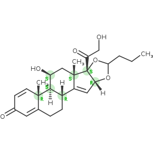 Budesonide Related Compound E