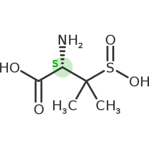 Sulbactam Related Compound A
